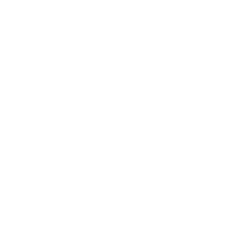 BossioShoots